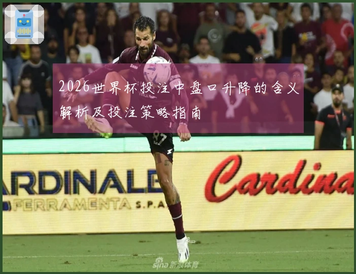 2026世界杯投注中盘口升降的含义解析及投注策略指南
