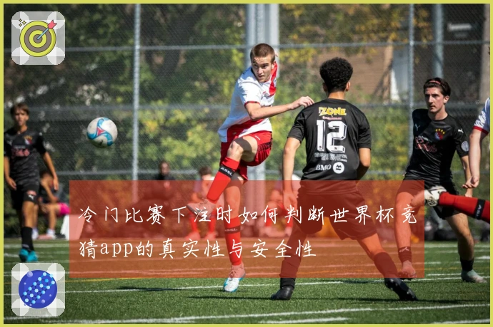 冷门比赛下注时如何判断世界杯竞猜app的真实性与安全性