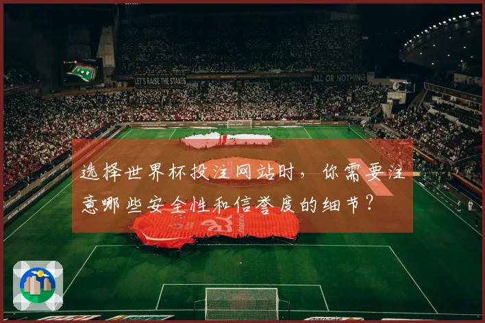 选择世界杯投注网站时，你需要注意哪些安全性和信誉度的细节？