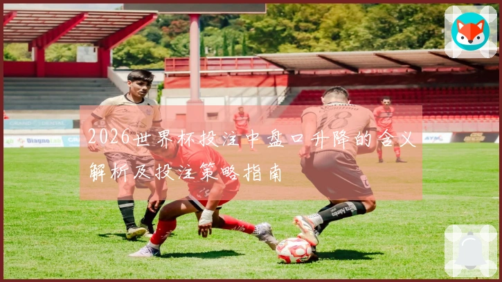 2026世界杯投注中盘口升降的含义解析及投注策略指南