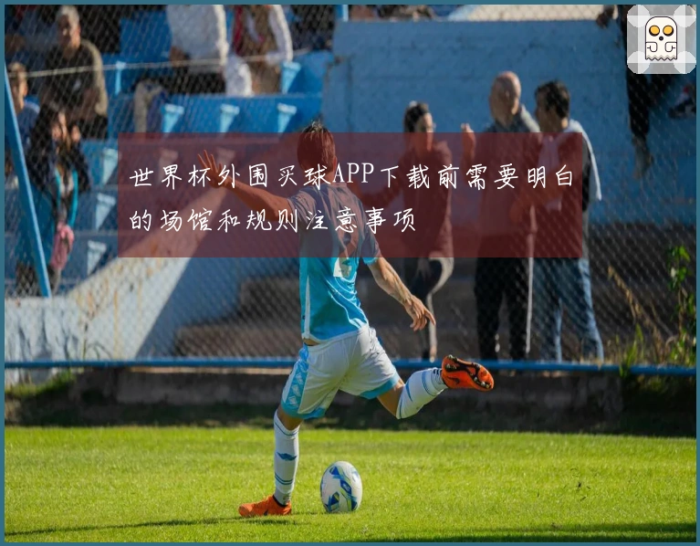 世界杯外围买球APP下载前需要明白的场馆和规则注意事项