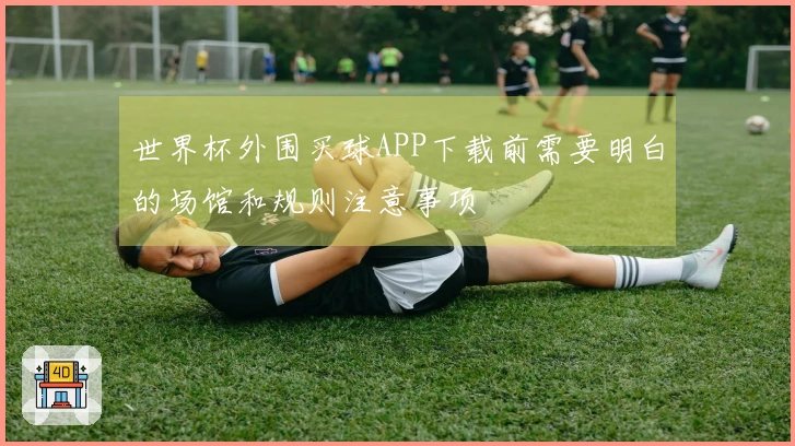世界杯外围买球APP下载前需要明白的场馆和规则注意事项