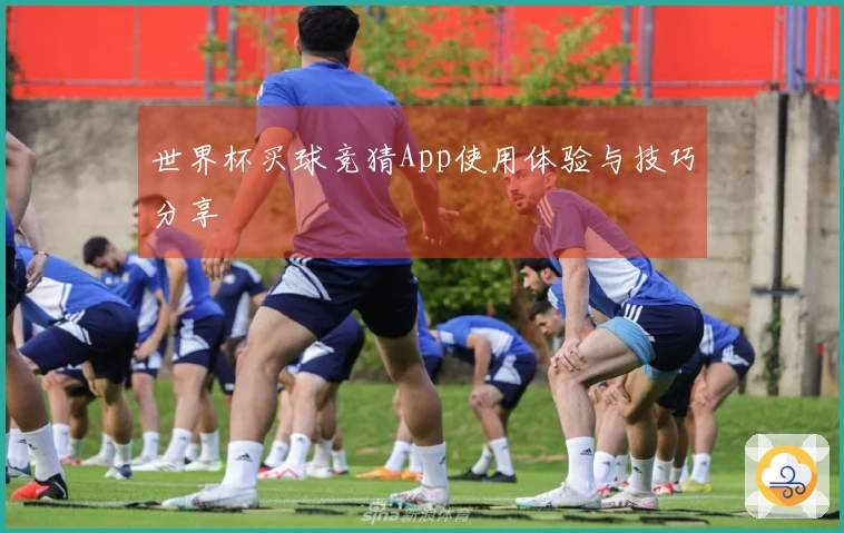 世界杯买球竞猜App使用体验与技巧分享