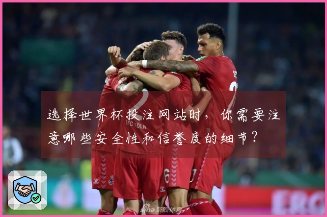 选择世界杯投注网站时，你需要注意哪些安全性和信誉度的细节？