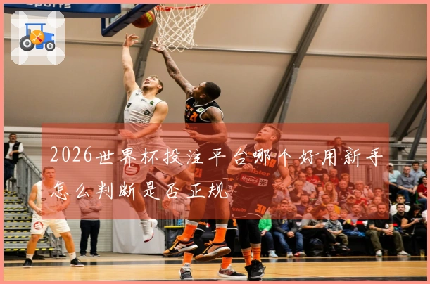 2026世界杯投注平台哪个好用新手怎么判断是否正规